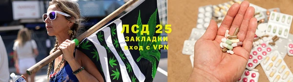 мяу мяу мука Балахна