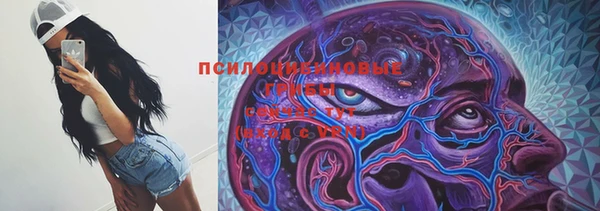мяу мяу мука Балахна