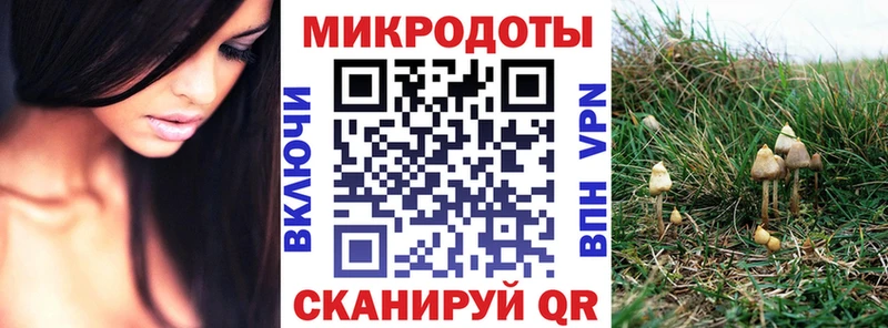 Псилоцибиновые грибы GOLDEN TEACHER  Купить  Омутнинск 